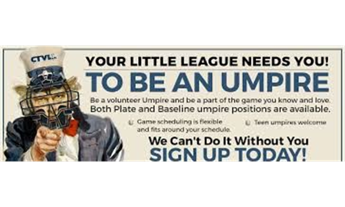 District 12 Umpire Clinic